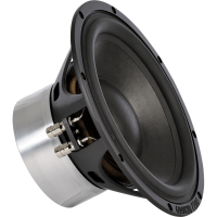 10“ Subwoofer