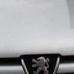 Φρυδάκια φαναριών για  Peugeot 206 - μαύρα