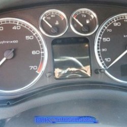 Δαχτυλίδια καντράν για Peugeot 307 Δαχτυλίδια καντράν για Peugeot 307