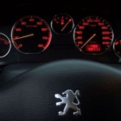 Δαχτυλίδια καντράν για Peugeot 406 turbo (1996-1998) Δαχτυλίδια καντράν για Peugeot 406 turbo (1996-1998)