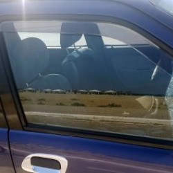 Ανεμοθραύστες για Daihatsu Terios I (1997-2005) 5 πορτο - 2 τμχ. εμπρός Ανεμοθραύστες για Daihatsu Terios I (1997-2005) 5 πορτο - 2 τμχ. εμπρός