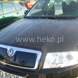 Χειμερινός ανεμοθραύστης για SKODA Superb I (2002-2006) - upper