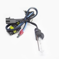 Λάμπα xenon H1 4300K 55W - 1τμχ.