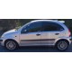 Αεροτομή οροφής Citroen C3 2002-2009