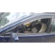 Ανεμοθραύστες για Citroen C5 (2000-2008) combi - 4 τμχ. εμπρός και πίσω