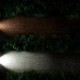 Λάμπες Led H7 Osram 12volt 18watt LEDriving XTR ≙  6000k 64210DWXTR 2 Τεμάχια