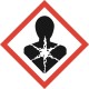 Καθαριστικό Συστήματος Βενζίνης - LPG Top-Mag 250ml