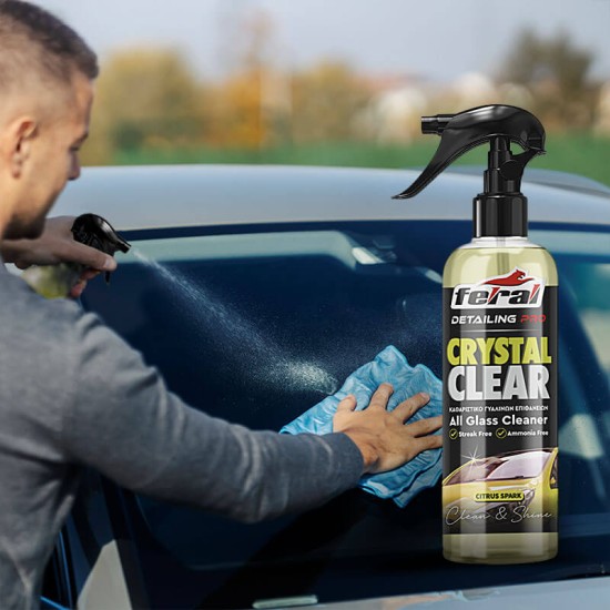 Καθαριστικό Τζαμιών Citrus Spark Feral Detailing Pro 750ml 1 Τεμάχιο