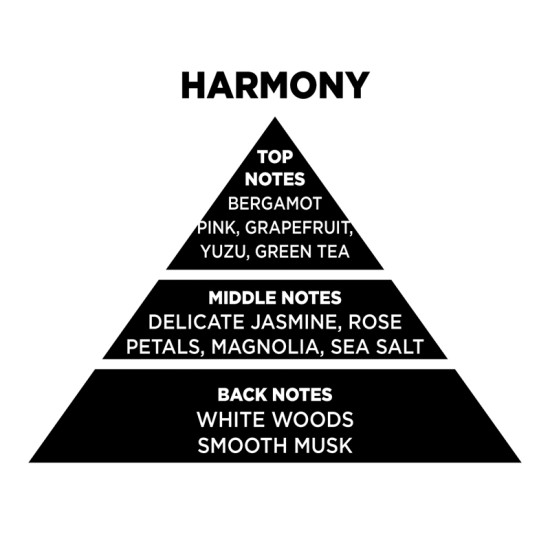 Αρωματικό Χώρου Σε Διάφανο Μπουκάλι Με Μαύρα Sticks "Harmony" 200ml Themagio 77309