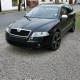Καπάκια Καθρεφτών Για VW Polo 9N3 05-09 / Skoda Octavia 1Z 04-09 Χρωμίου 2 Τεμάχια