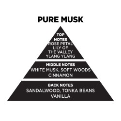 Αρωματικό Χώρου Σε Διάφανο Μπουκάλι Με Μαύρα Sticks "Pure Musk" 200ml Themagio 77301 Αρωματικό Χώρου Σε Διάφανο Μπουκάλι Με Μαύρα Sticks "Pure Musk" 200ml Themagio 77301