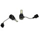 Λάμπες Led HB4 9006 C12 12/24Volt 36watt 5500lm 6000k 2 Τεμάχια