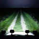 Προβολέας Εργασίας Τετράγωνος Mini FT-16 LED 12-40 Volt 50W 7000lm 6000k LEDBAR-001 1 Τεμάχιο