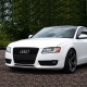 Μάσκα Για Audi A5 8T 07-11 RS5 Look Κυψελωτή Μαύρο Ματ 1 Τεμάχιο