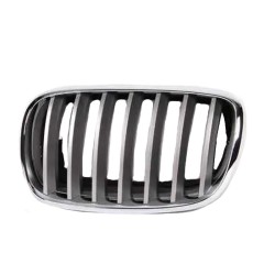 Καρδιά Μάσκας Αριστερή Για Bmw X5 E70 07-13 / X6 E71 08-14 Χρώμιο/Ασημί 1 Τεμάχιο Καρδιά Μάσκας Αριστερή Για Bmw X5 E70 07-13 / X6 E71 08-14 Χρώμιο/Ασημί 1 Τεμάχιο