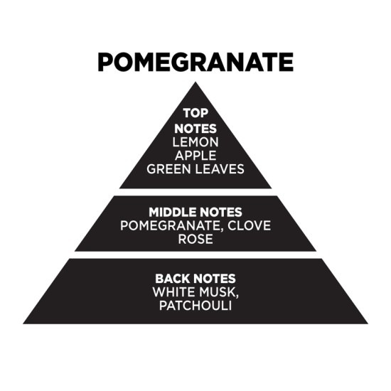Αρωματικό Κερί Σόγιας Σε Μαύρο Ποτήρι Με Μαύρο Μεταλλικό Καπάκι "Pomegranate" 300gr Themagio 77205