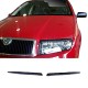 Φρυδάκια Μπροστινών Φαναριών Για Skoda Fabia 6Y 99-07 2 Τεμάχια