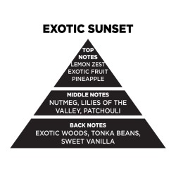 Αρωματικό Χώρου Σε Διάφανο Μπουκάλι Με Μαύρα Sticks "Exotic Sunset" 100ml Themagio 77304 Αρωματικό Χώρου Σε Διάφανο Μπουκάλι Με Μαύρα Sticks "Exotic Sunset" 100ml Themagio 77304