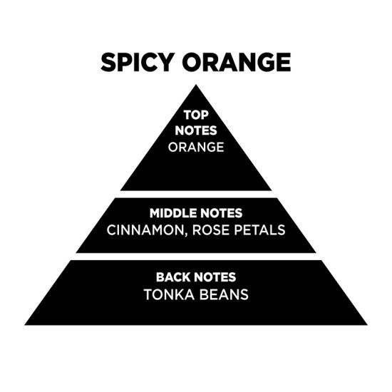 Αρωματικό Χώρου Σε Μαύρο Μπουκάλι Με Μαύρα Sticks "Spicy Orange" 100ml Themagio 77332