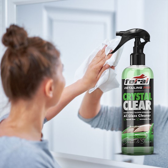 Καθαριστικό Τζαμιών Tropical Forest Feral Detailing Pro 750ml 1 Τεμάχιο