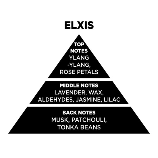 Αρωματικό Χώρου Σε Διάφανο Μπουκάλι Με Μαύρα Sticks ''Elxis'' 100ml Themagio 77312