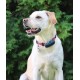 Tractive DOG 4 GPS Pet Tracker Παρακολούθησης Δραστηριότητας Σκύλου Midnight Blue (Τεμάχιο)-