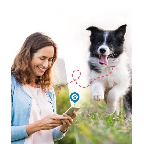 Tractive DOG 4 GPS Pet Tracker Παρακολούθησης Δραστηριότητας Σκύλου Coffee (Τεμάχιο)-