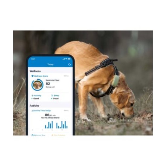 Tractive DOG XL / Adventure GPS Pet Tracker Σκύλου Mint (Τεμάχιο)-