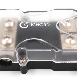 Conchord ANL 0224 P Conchord ANL 0224 P