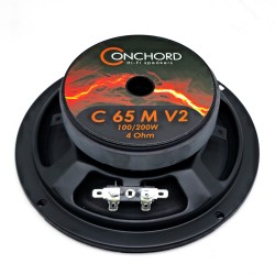 Conchord C 65 M V2