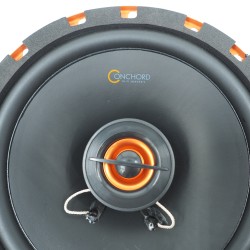Conchord C 62