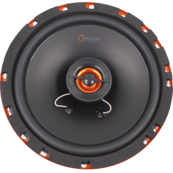 Conchord C 62