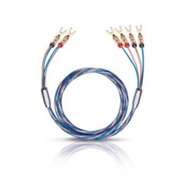 Oehlbach Bi-Tech 4 L Καλωδίωση Bi-Wiring με διχάλες 2m (Τεμάχιο) Oehlbach Bi-Tech 4 L Καλωδίωση Bi-Wiring με διχάλες 2m (Τεμάχιο)