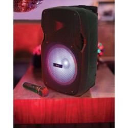 Qtx PAL10 Φορητή Μονάδες PA με TWS και LED FX (Τεμάχιο) Qtx PAL10 Φορητή Μονάδες PA με TWS και LED FX (Τεμάχιο)