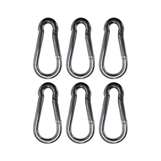 Citronic CARABINER-6 Carabiners (6 Τεμάχια)