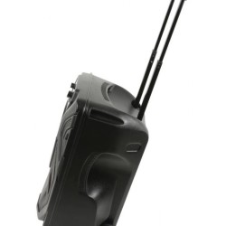 Qtx BUSKER-12 Busker PA Με Μικρόφωνο VHF, Media Player & Bluetooth 12" 80W RMS (Σετ)