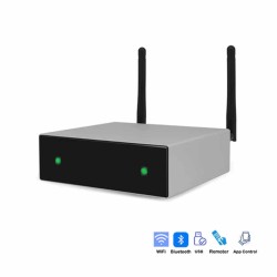 DSPPA DW02 WIFI STREAMING Ψηφιακός ενισχυτής 50W×2CH 4ohm Bluetooth 5.0 (Τεμάχιο)