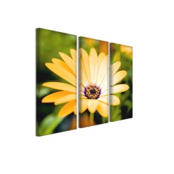 Audiodesigner GRAFICA Ηχοαπορροφητικά Πάνελ Πίνακες Τέχνης 40x80cm (Τεμάχιο) Audiodesigner GRAFICA Ηχοαπορροφητικά Πάνελ Πίνακες Τέχνης 40x80cm (Τεμάχιο)