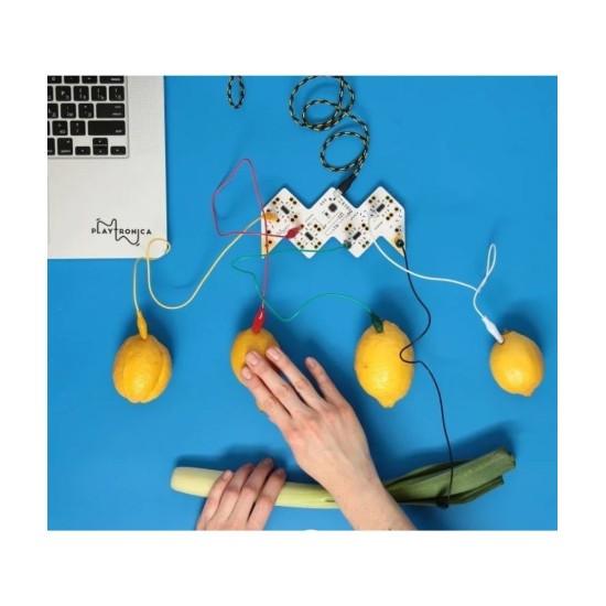 Playtronica PLAYTRON MIDI CONTROLLER