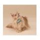 Tractive CAT mini GPS Pet Tracker Γάτας με Κολάρο Mint (Τεμάχιο)