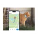 Tractive CAT mini GPS Pet Tracker Γάτας με Κολάρο Mint (Τεμάχιο)