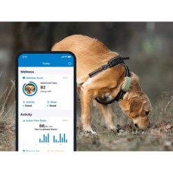 Tractive DOG 6 XL Black Smart GPS Pet Tracker Σκύλου