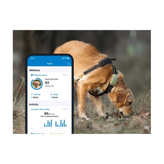 Tractive DOG XL / Adventure GPS Pet Tracker Σκύλου Green (Τεμάχιο)