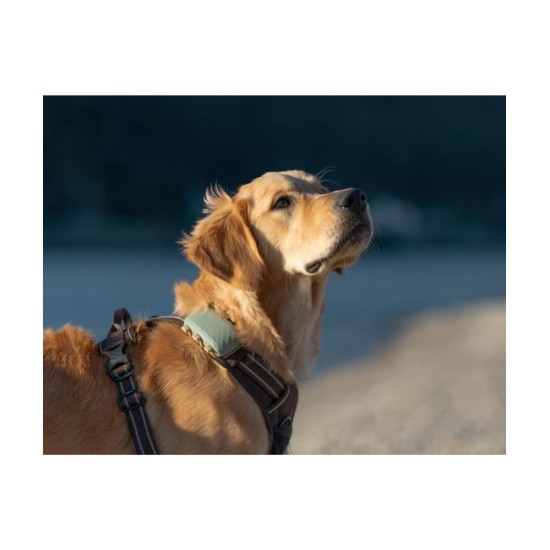 Tractive DOG XL / Adventure GPS Pet Tracker Σκύλου Green (Τεμάχιο)