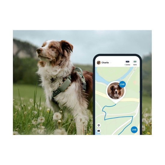 Tractive DOG 6 XL Black Smart GPS Pet Tracker Σκύλου