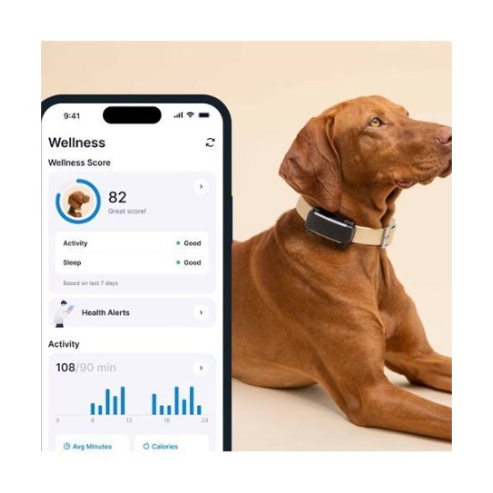 Tractive TRDOG6BK GPS Pet Tracker Σκύλου Black (Τεμάχιο) Tractive TRDOG6BK GPS Pet Tracker Σκύλου Black (Τεμάχιο)