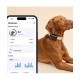 Tractive TRDOG6BK GPS Pet Tracker Σκύλου Black (Τεμάχιο) Tractive TRDOG6BK GPS Pet Tracker Σκύλου Black (Τεμάχιο)