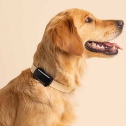 Tractive TRDOG6BK GPS Pet Tracker Σκύλου Black (Τεμάχιο)