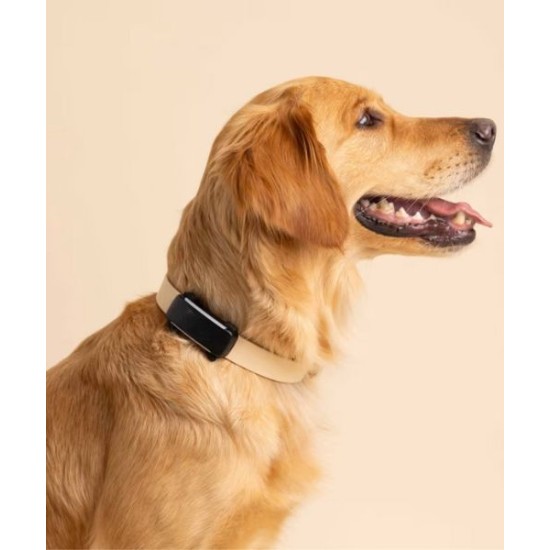 Tractive TRDOG6BK GPS Pet Tracker Σκύλου Black (Τεμάχιο) Tractive TRDOG6BK GPS Pet Tracker Σκύλου Black (Τεμάχιο)