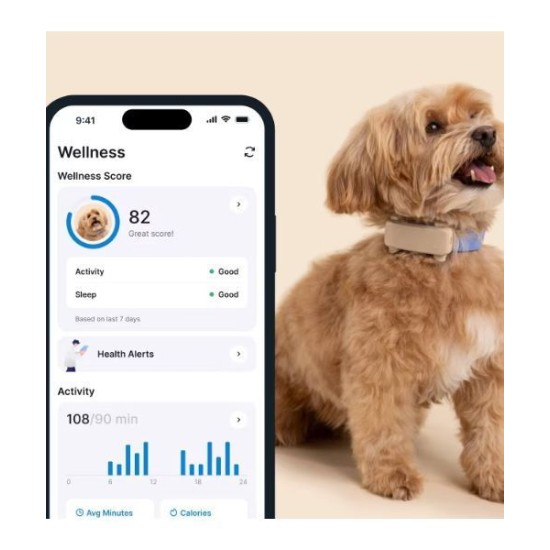 Tractive TRDOG6BR GPS Pet Tracker Σκύλου Brown (Τεμάχιο) Tractive TRDOG6BR GPS Pet Tracker Σκύλου Brown (Τεμάχιο)